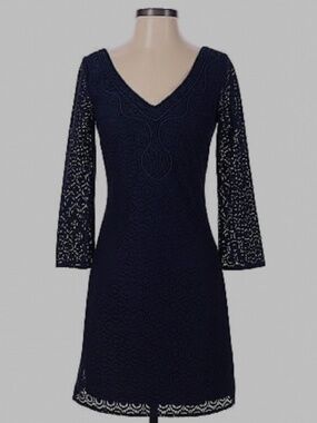 Stunning Blue Lace Dress